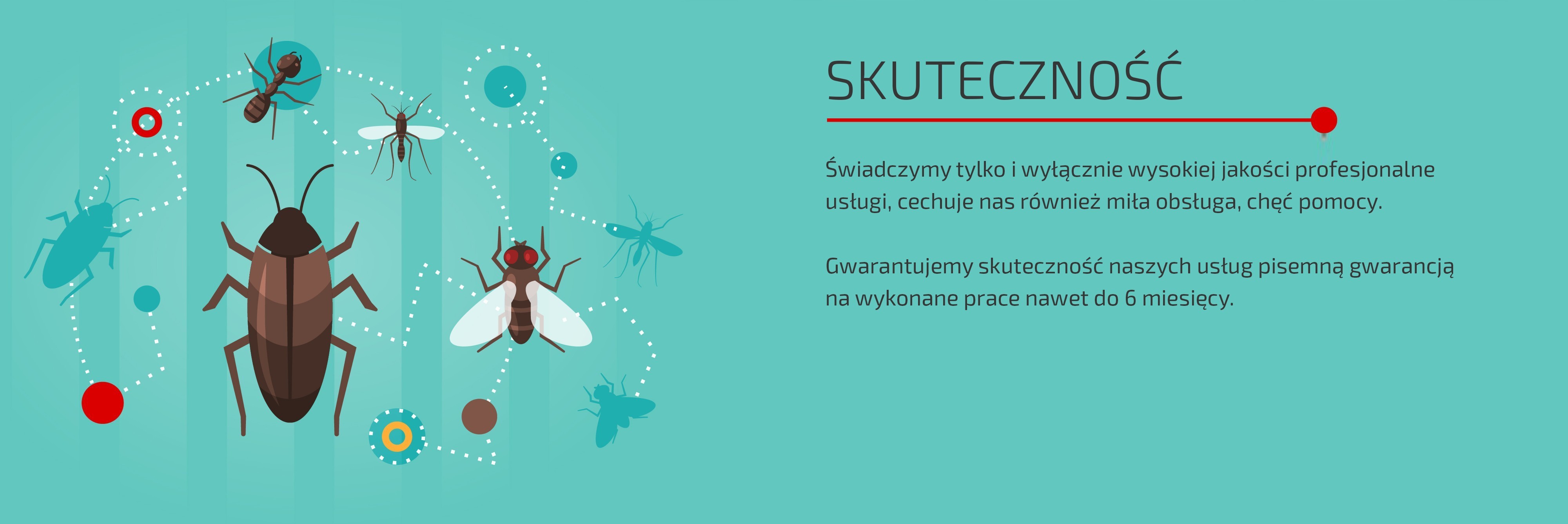 SKUTECZNOŚĆ